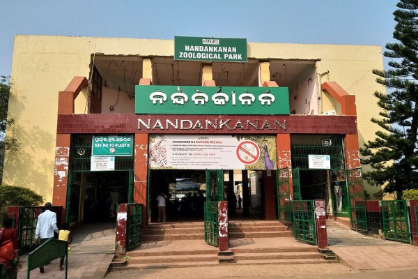 Nandankanan Zoo Guide | Tour and Travel Agency in Puri