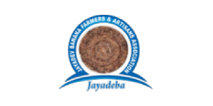 Modern web design Bhubaneswar
