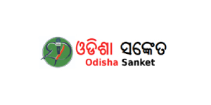 Bhubaneswar website designers