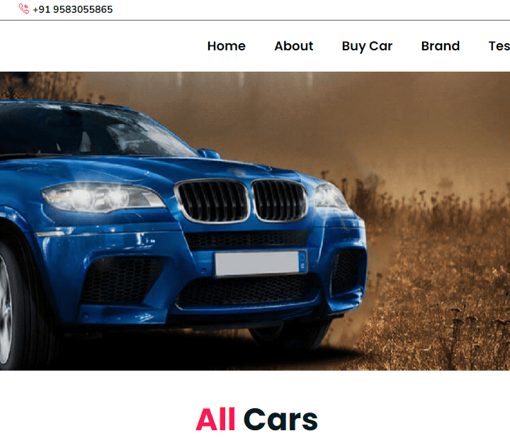 Buy Sell Used Car Website Designing & Development
