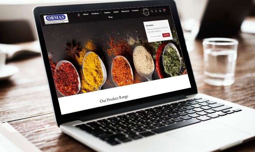 Handloom Store Website Design in Bhubaneswar