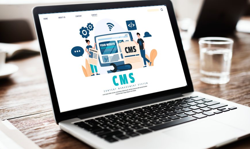 Software Company Web Design Services in Bhubaneswar India