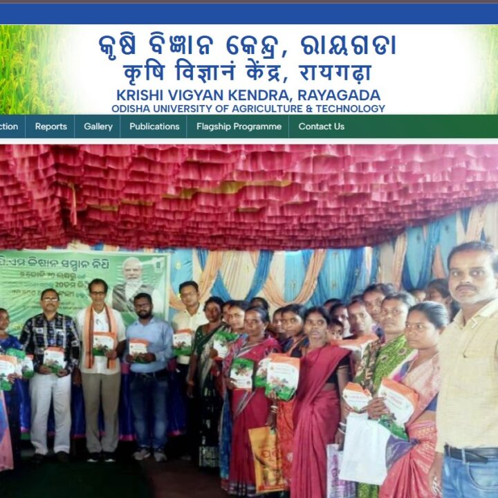 kvkrayagada