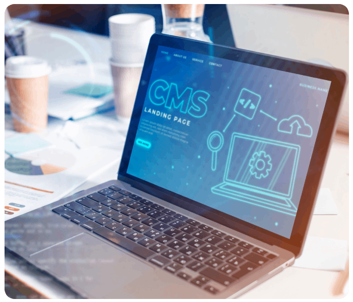 CMS Web Development Service in Bhubaneswar