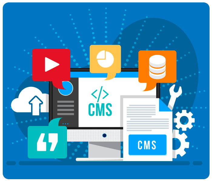 Custom CMS Development